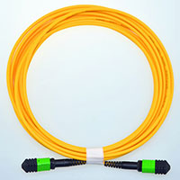MP7009645-MP7009665