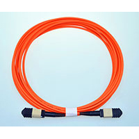 MP7009666-MP7009671