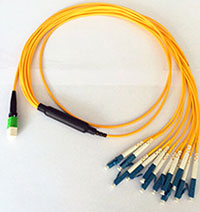 MP7009716-MP7009720